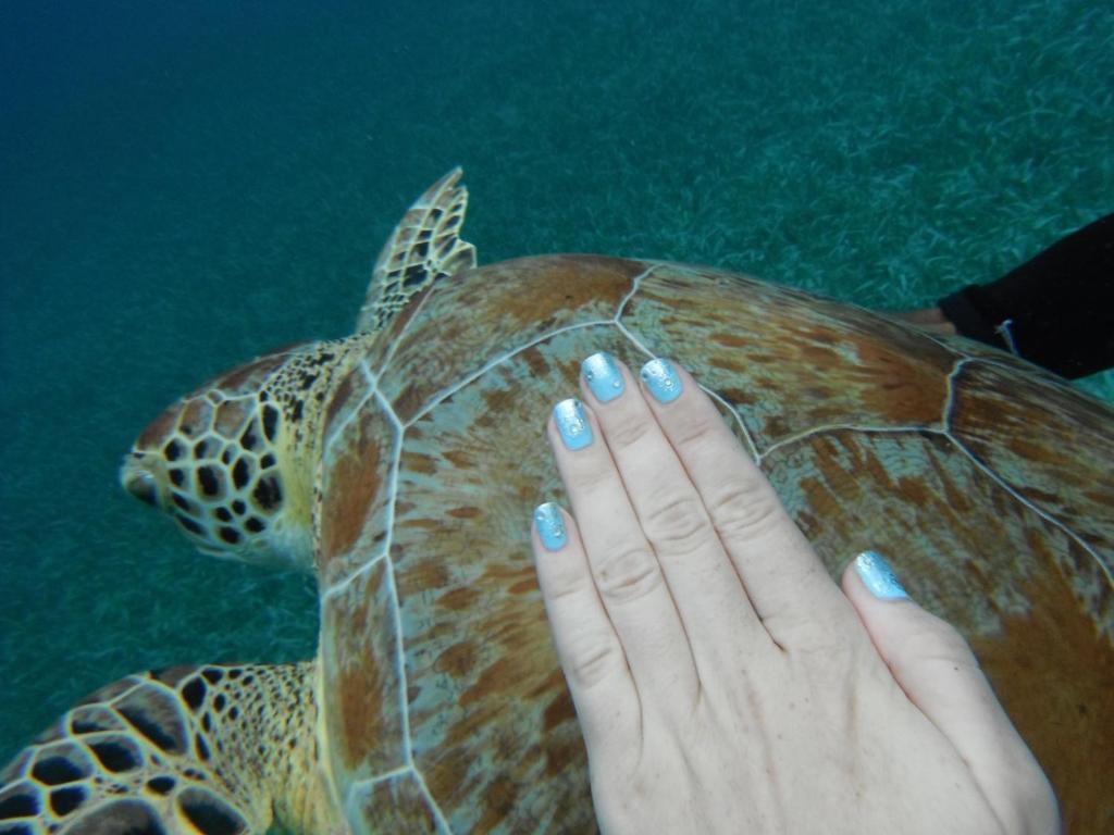 Shaka Caye All Inclusive Resort Cidade de Belize Exterior foto